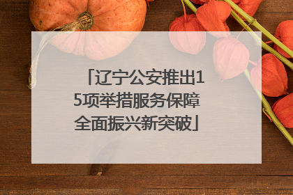 辽宁公安推出15项举措服务保障全面振兴新突破